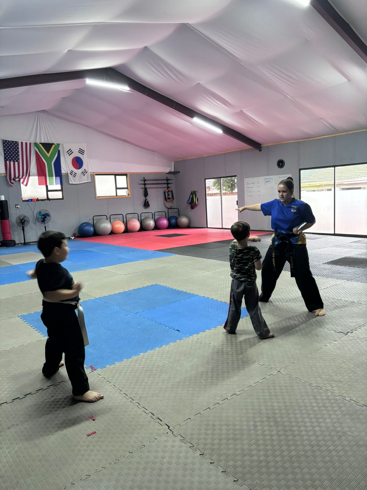 Little Dragons Taekwondo class