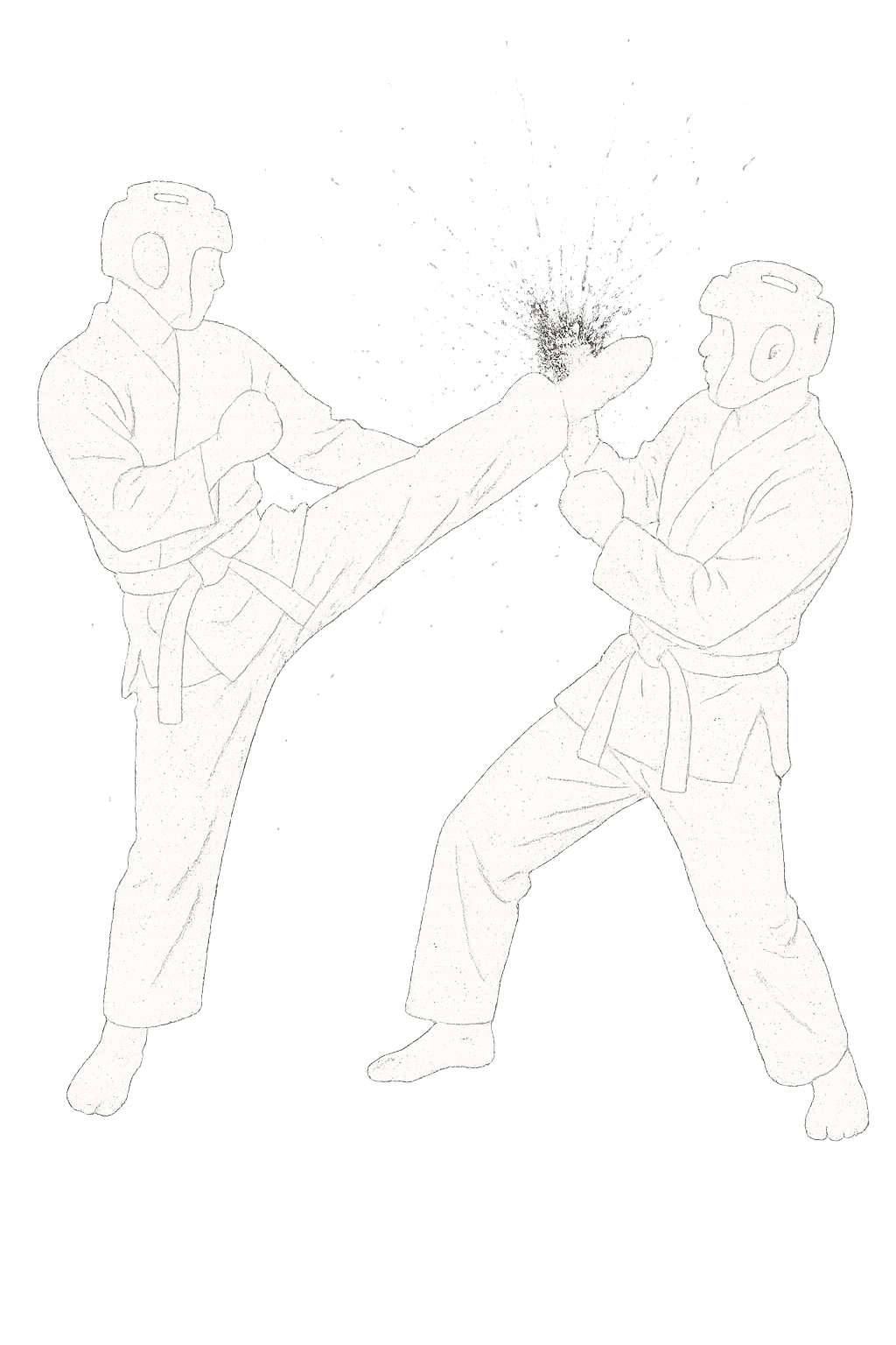 Sparring Training Icon
